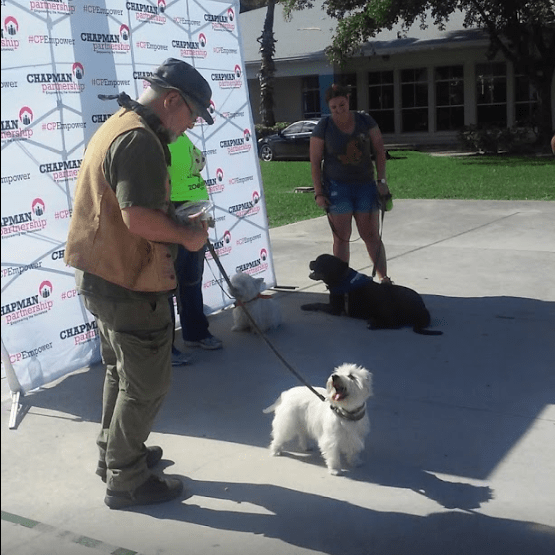 Florida Pet Friendly Homeless Shelters Pet Friendly Homeless Shelters